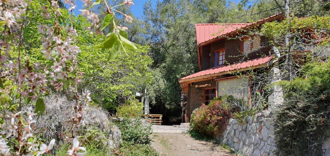 Casa De Montana Inmersa En Bosque Nativo San José de Maipo Екстериор снимка